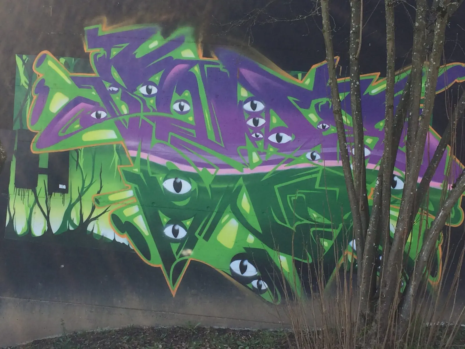 Graffiti — fresque murale 10